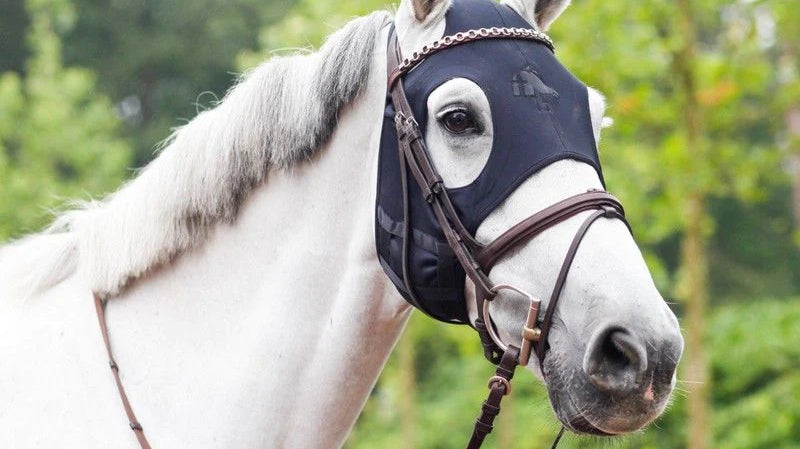 Geef je paard meer ontspanning met een rustgevend masker