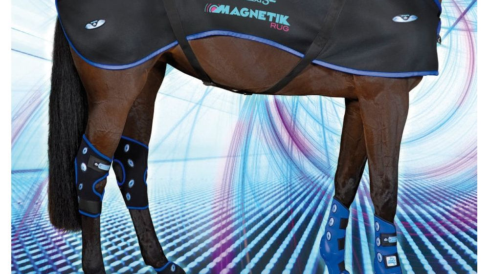 Zijn magnetische producten en magneettherapie iets voor je paard?
