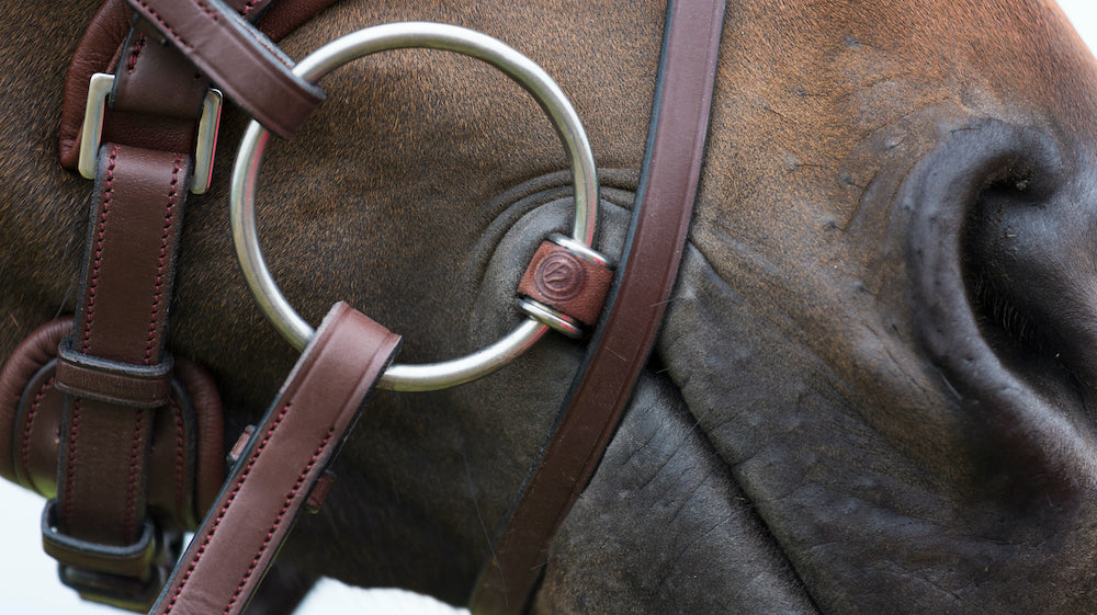 Wat is het verschil tussen een watertrens, bustrens en D-trens?