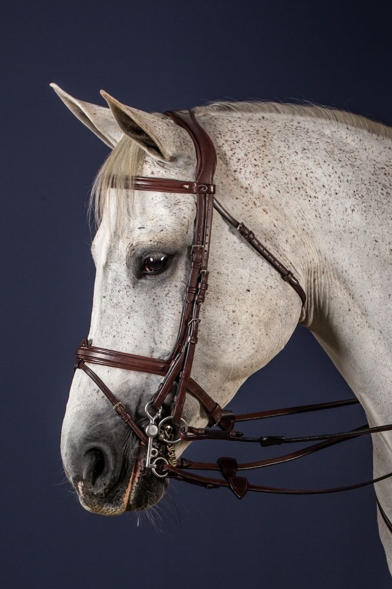 Double Bridles Horse Riders Classics