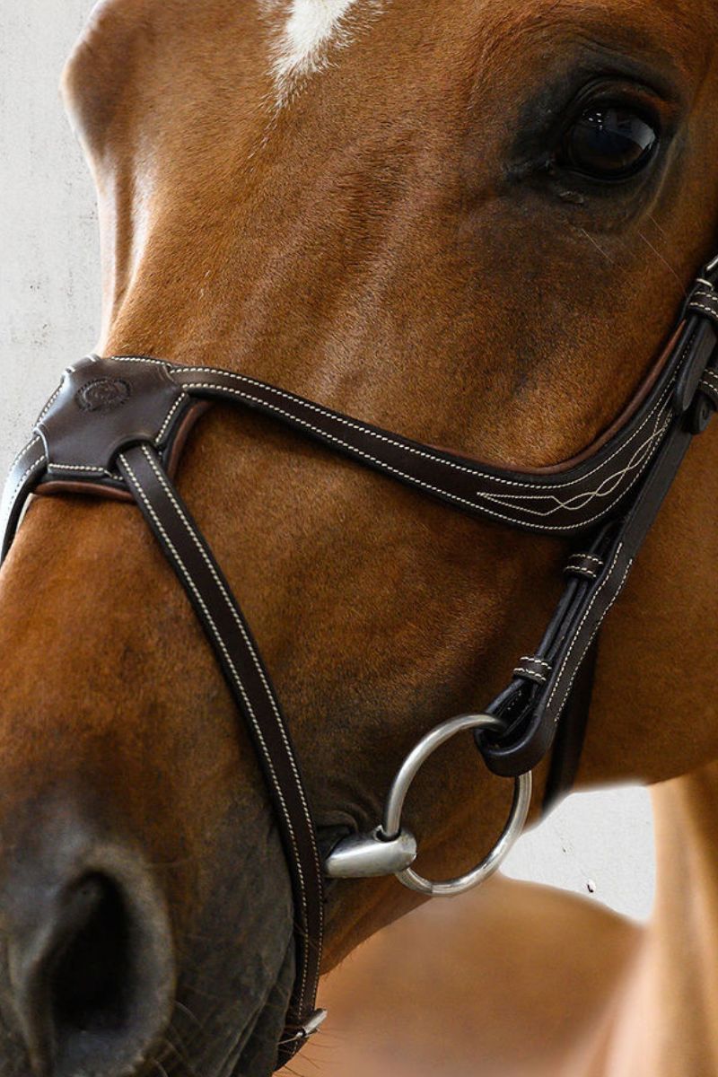 Nosebands – Horse Riders Classics