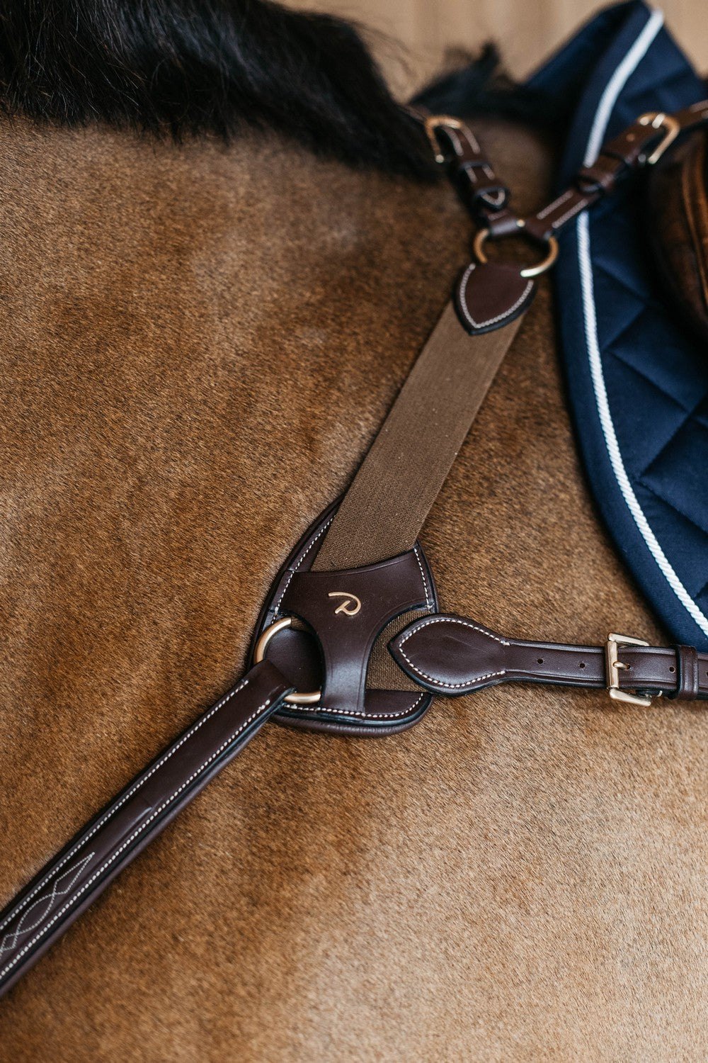 Dyon D-Collection 5-point Breastplate with elastic Brown