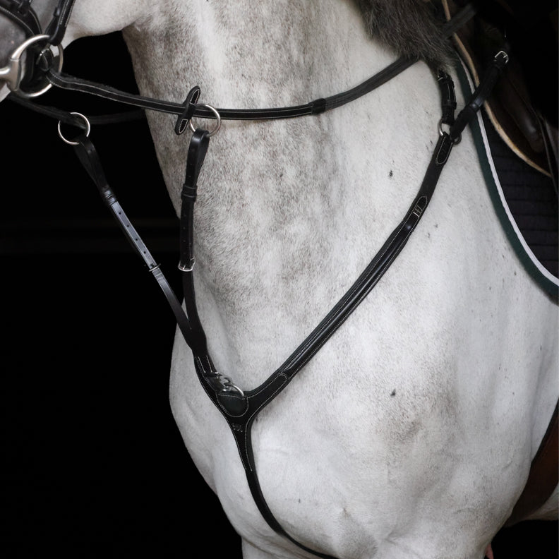 HFI Pro Line Breastplate Aosta with Martingale
