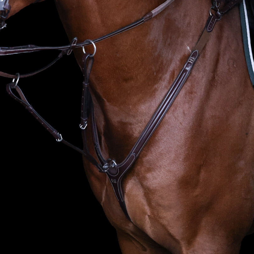 HFI Pro Line Breastplate Aosta with Martingale