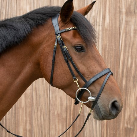 Equilook Hoofdstel Professional gecombineerde neusriem Zwart
