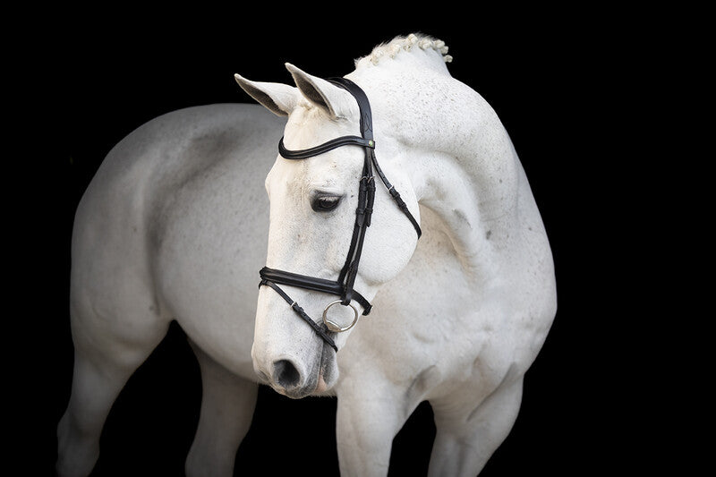 LJ Leathers hoofdstel gecombineerde neusriem Classic Touch Zwart