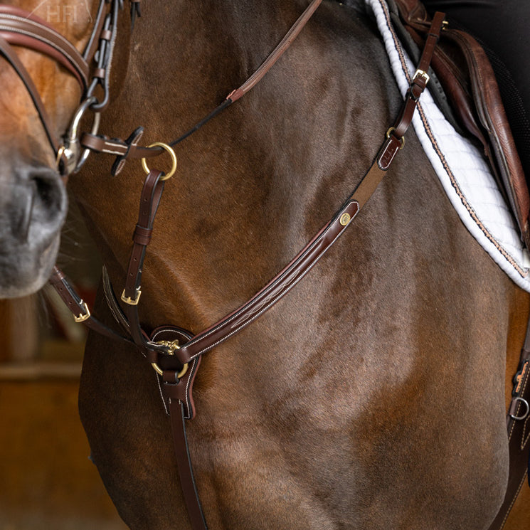 HFI Pro Line Breastplate Arezzo with Martingale