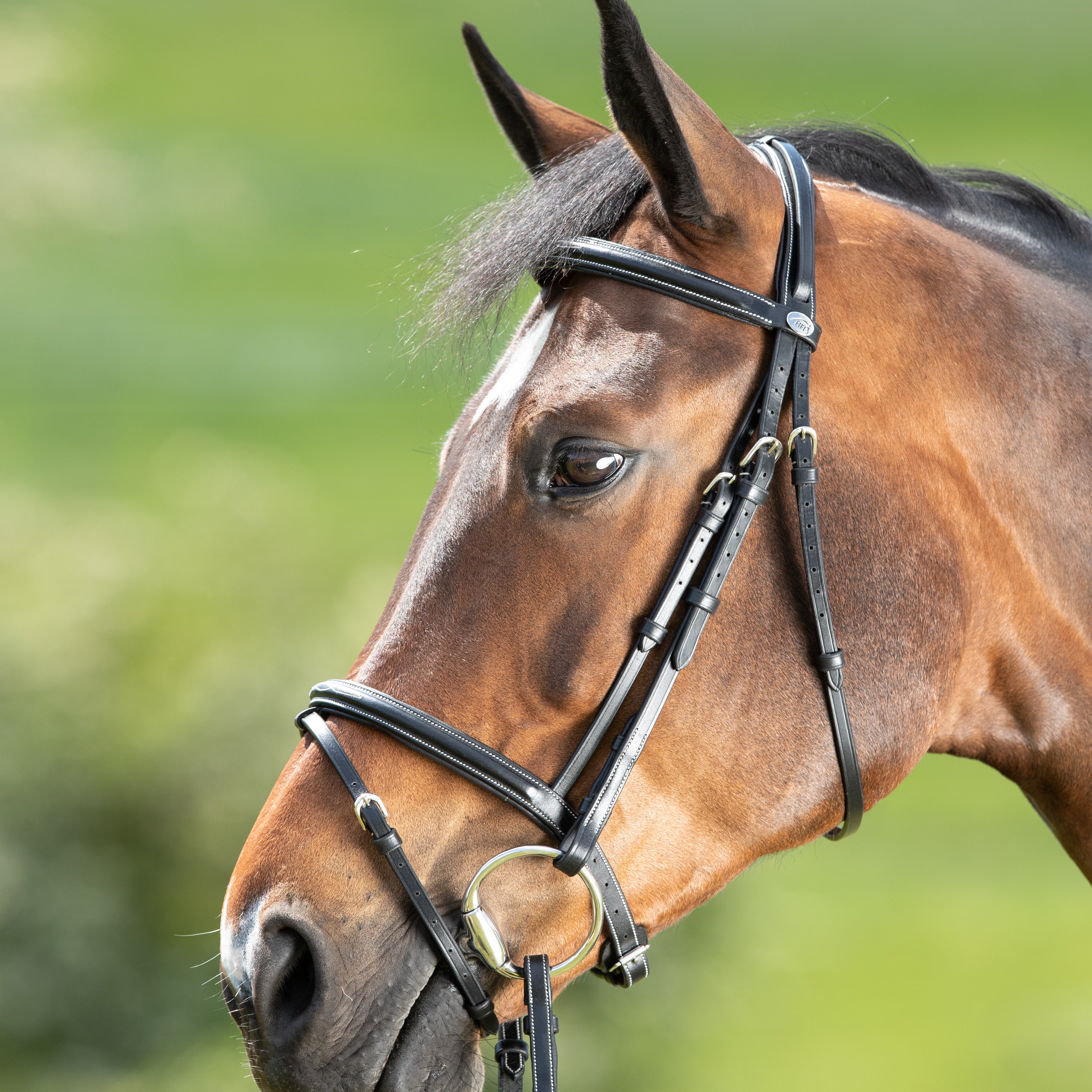 HFI Hoofdstel Comfort Zwart