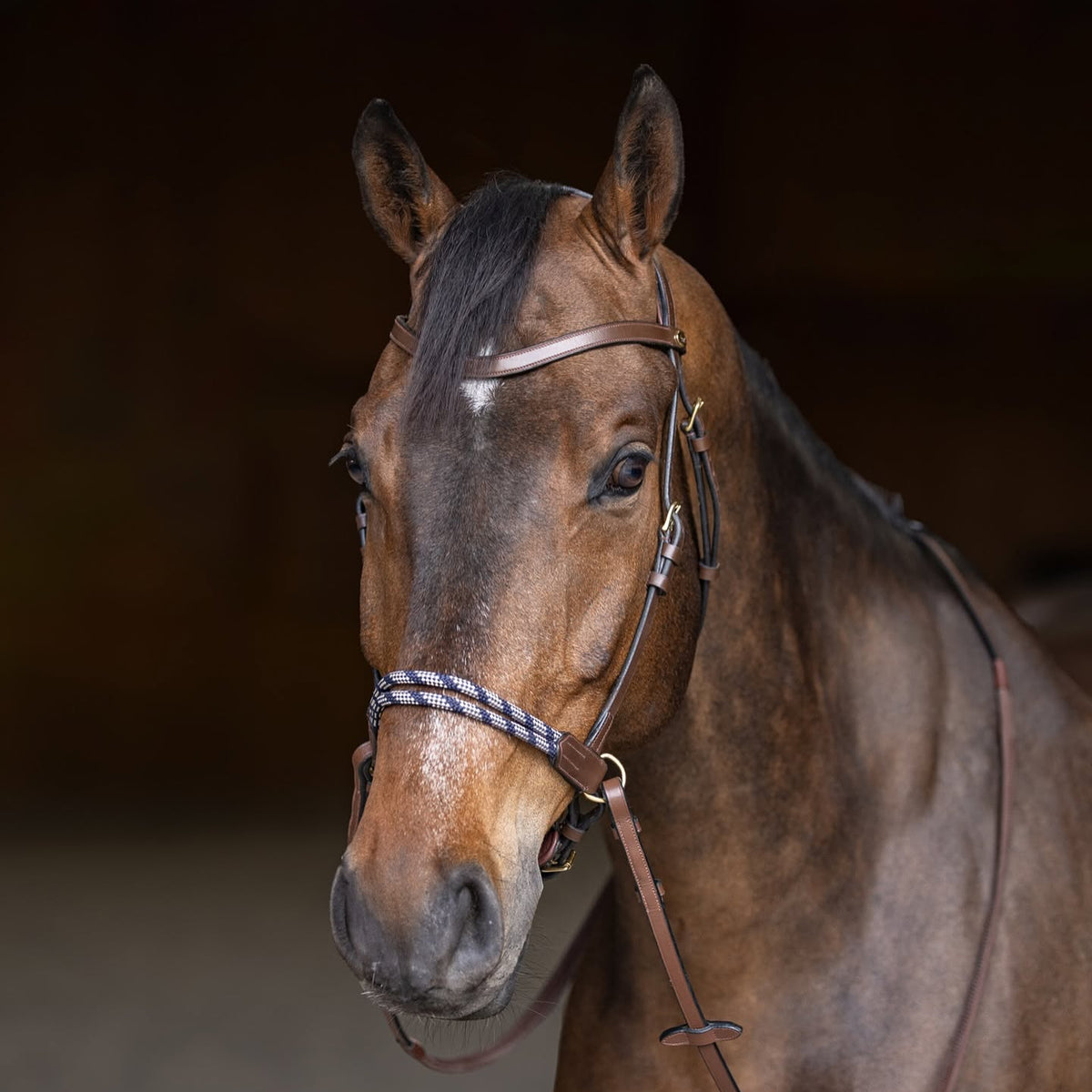 HFI Freedom bitless bridle