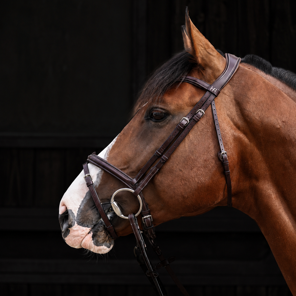HFI Pro Line Bridle Merano