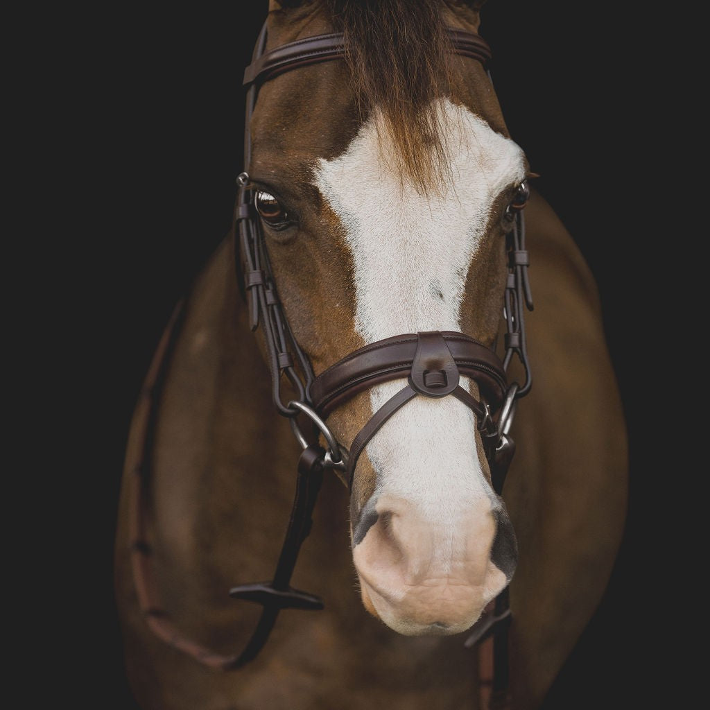 Equiline Hoofdstel gecombineerde neusriem Pony Zwart M L