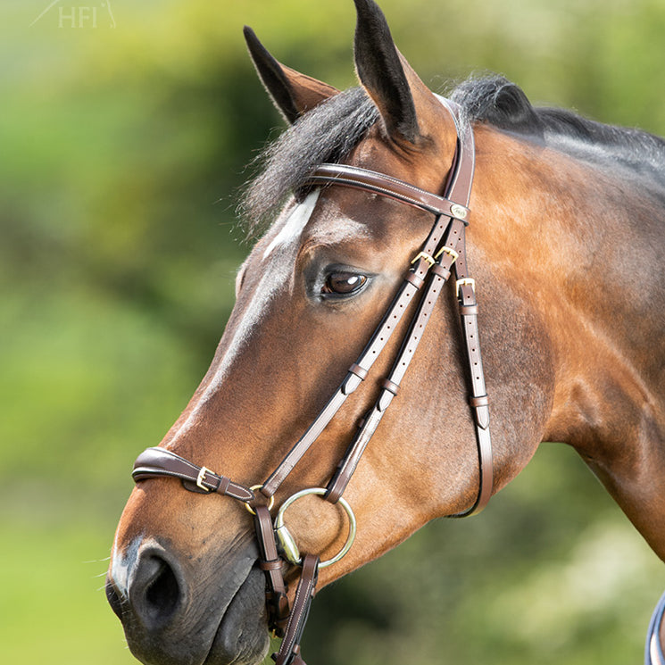 HFI German Hoofdstel met Lage Neusriem Bruin