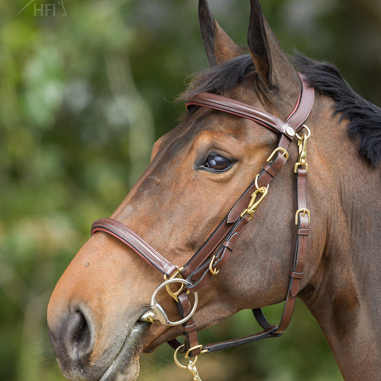 HFI Combo Hoofdstel Halster Bruin
