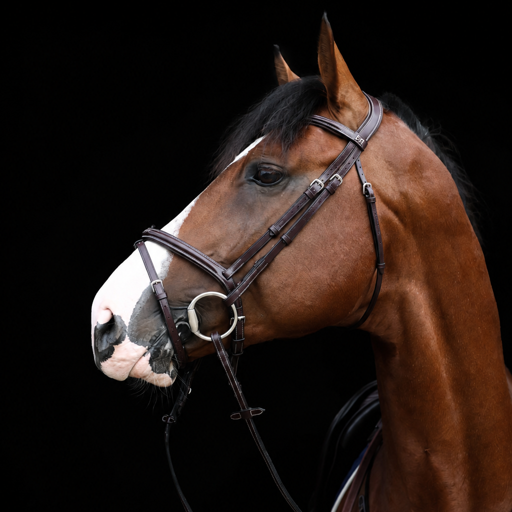 HFI Pro Line Bridle Monza
