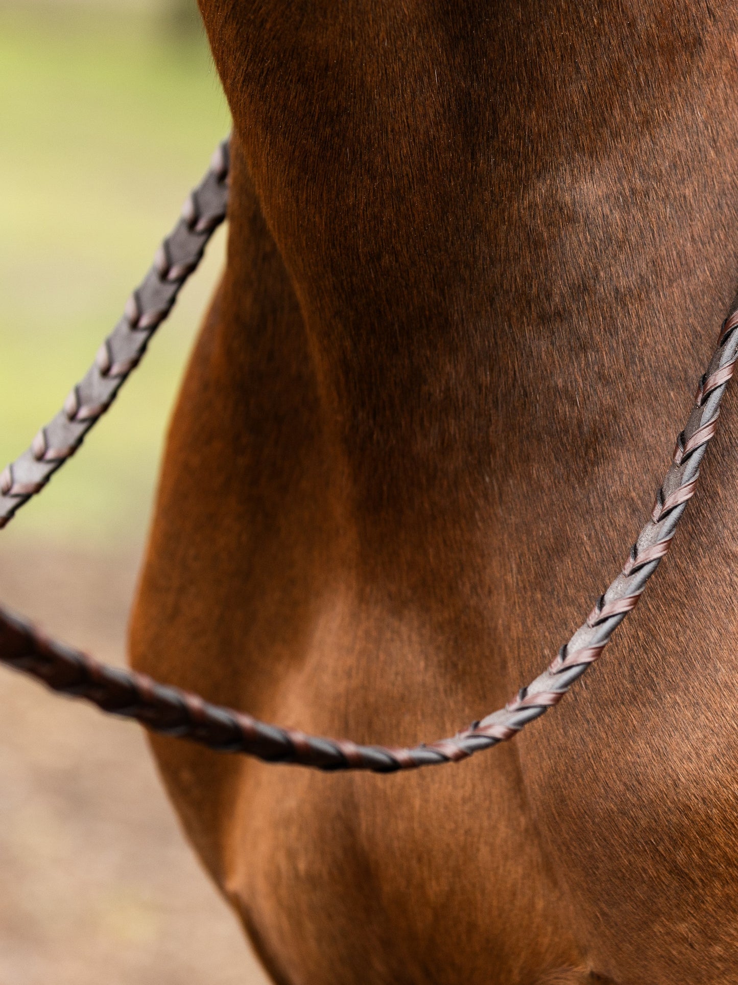 TRUST Hunter reins Braided silver buckles Brown