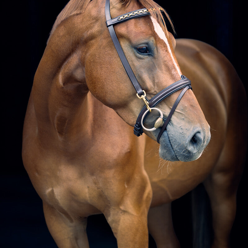 LJ Leathers Pro Selected bridle with clips Brown