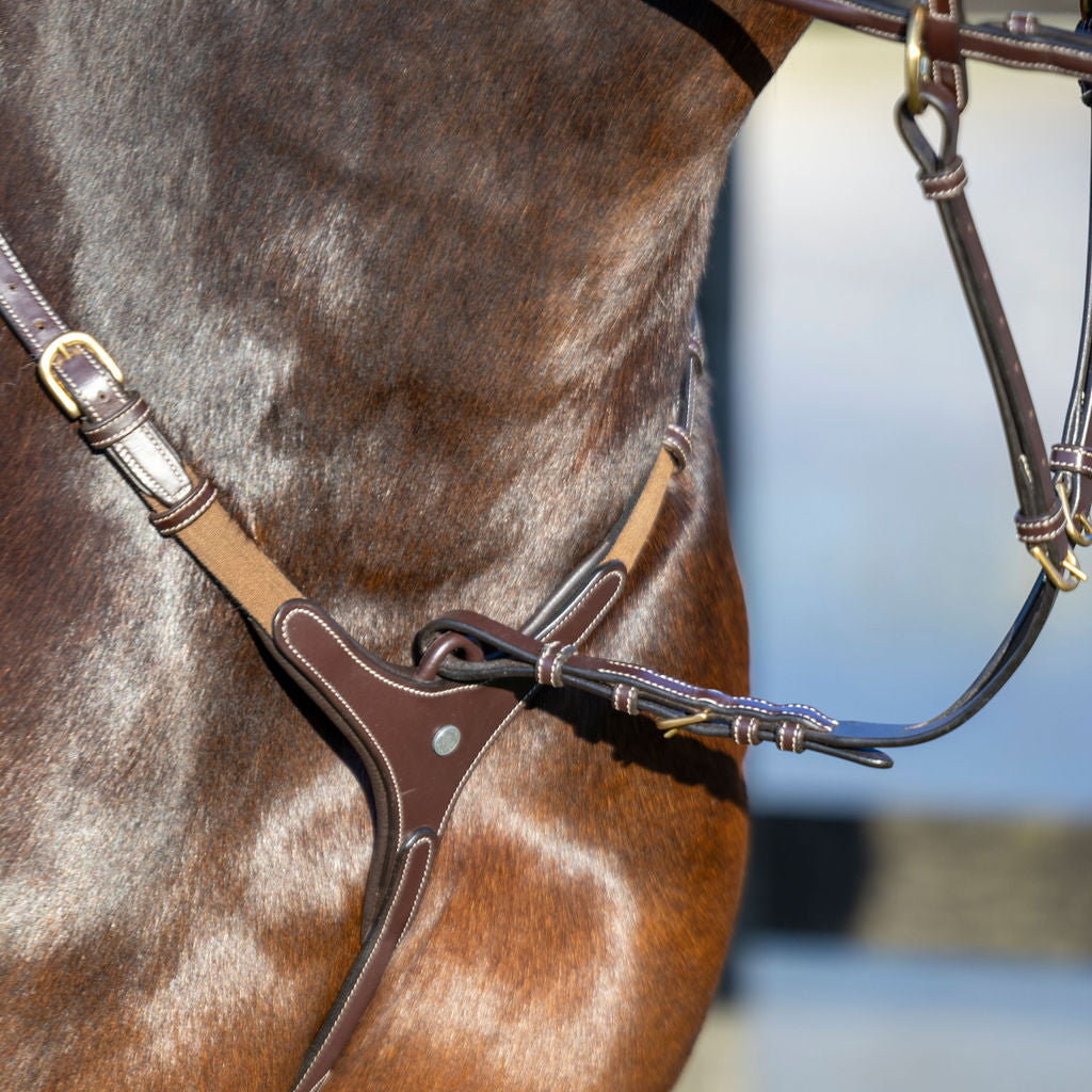 LJ Leathers Pro Selected Heritage Jachtmartingaal bruin-goud