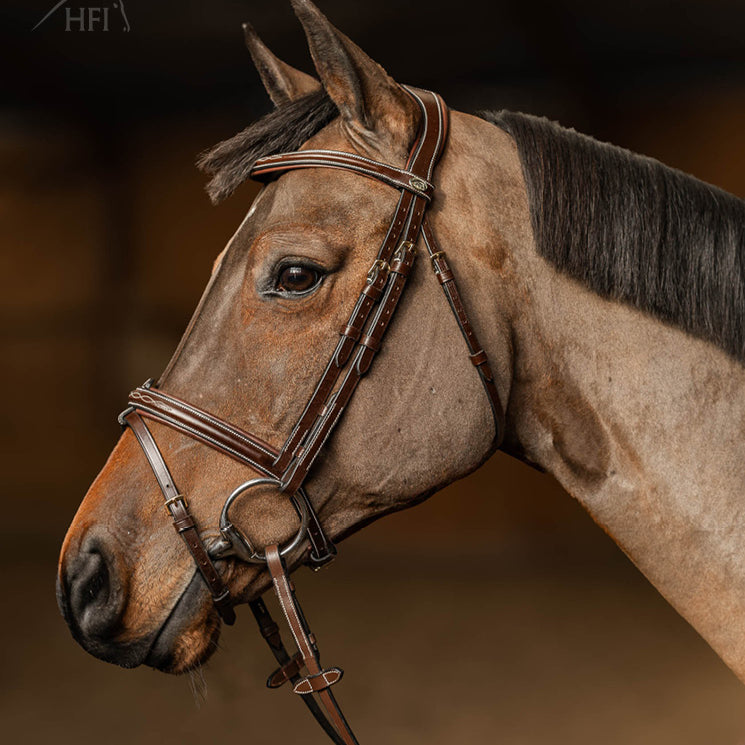 HFI Pro Line Bridle Milano