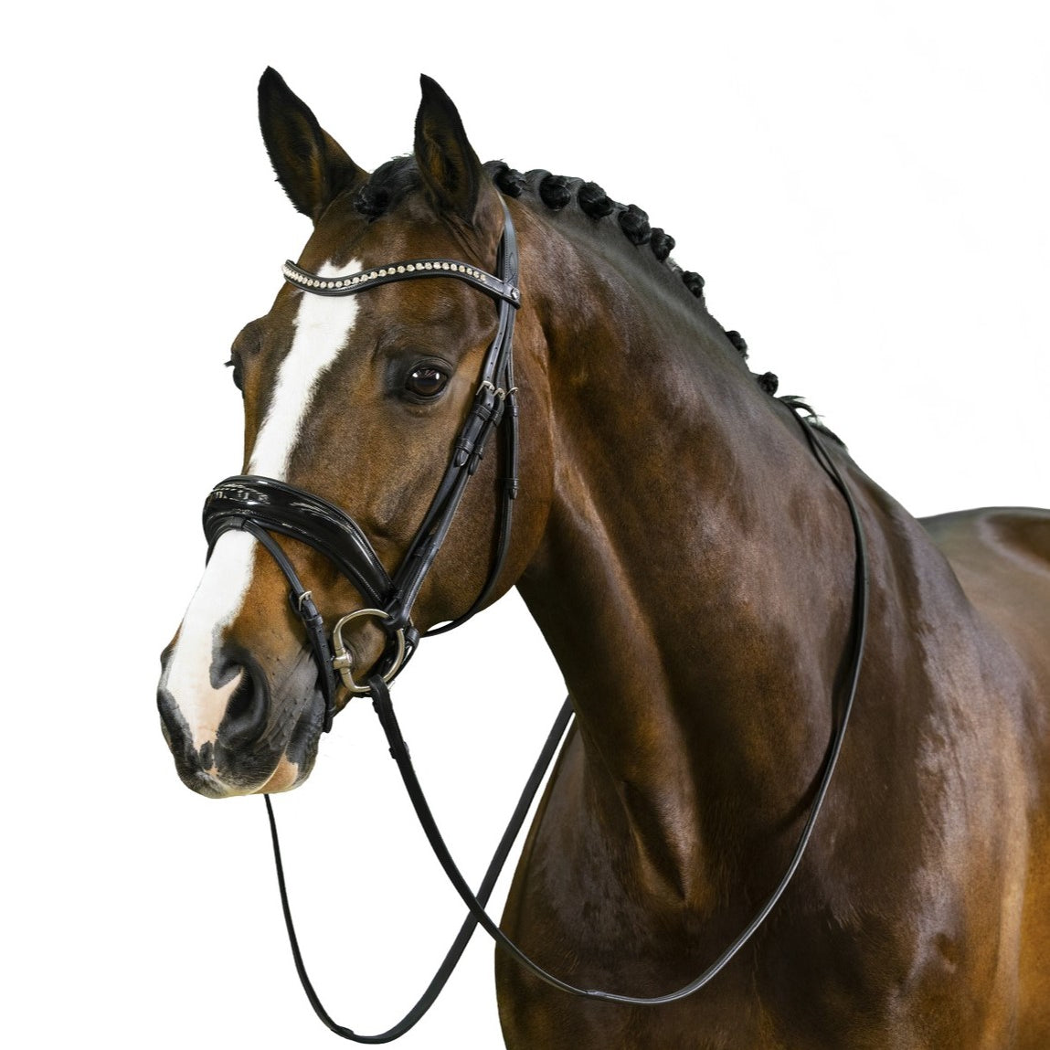 TRUST hoofdstel Rotterdam zwart onderlegd Zwart Zwart Cob