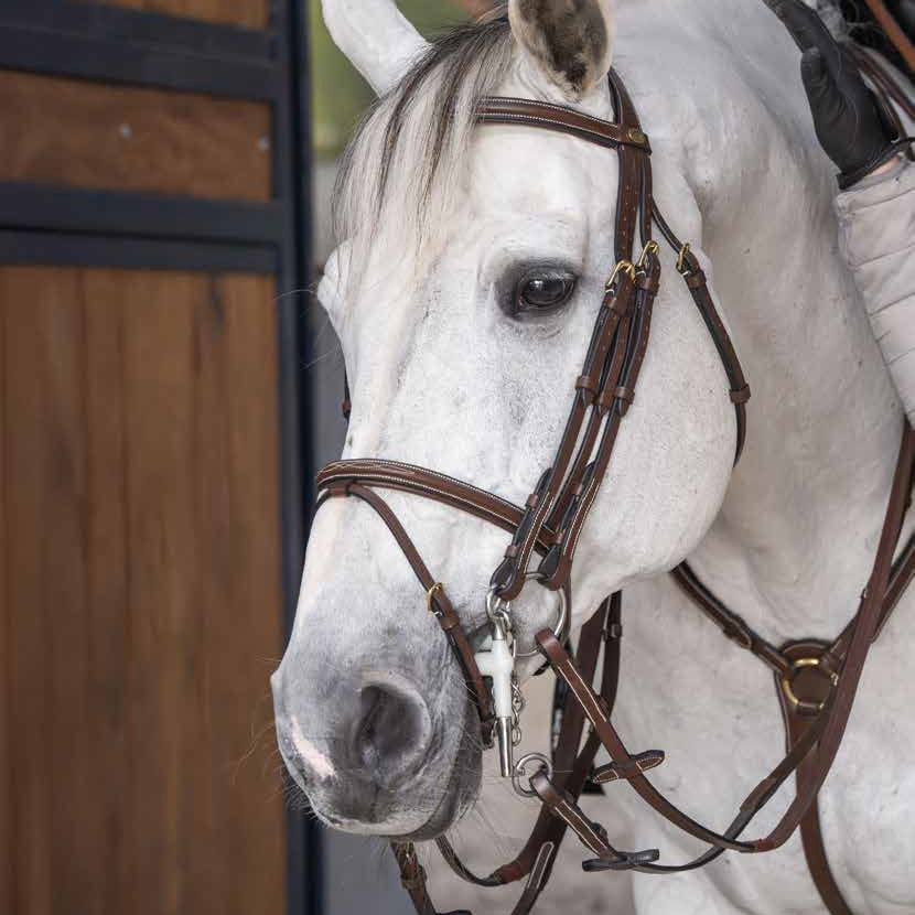 HFI Double Bridle Jumping