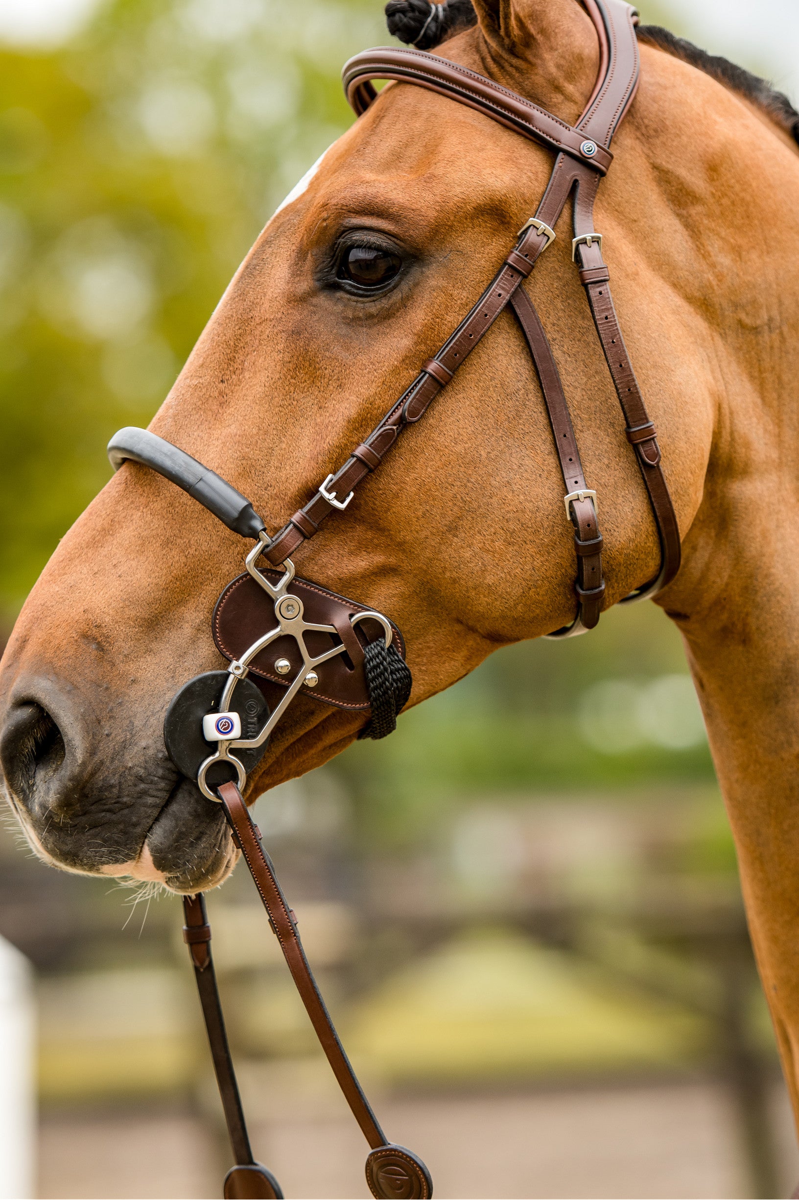 Trust Hackamore protection leer