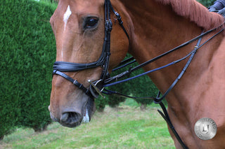 LJ Leathers Full Jump Assist