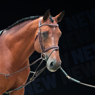 LJ Leathers Magic Lunge by Symons Lunging aid