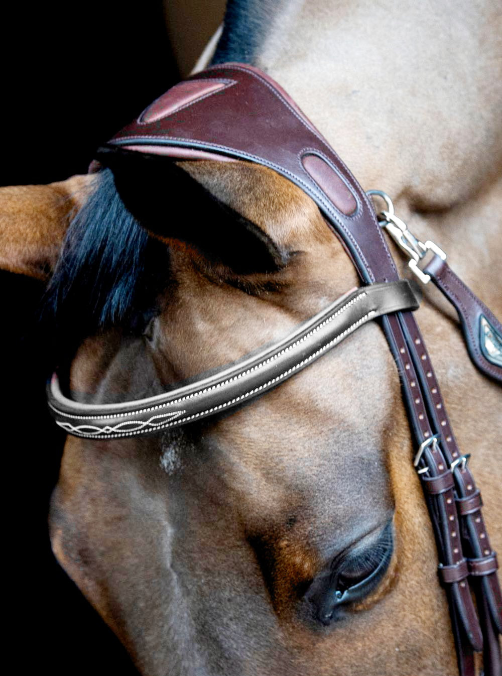 headpiece horse