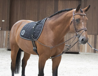 LJ Leathers Magic Lunge by Symons Lunging aid