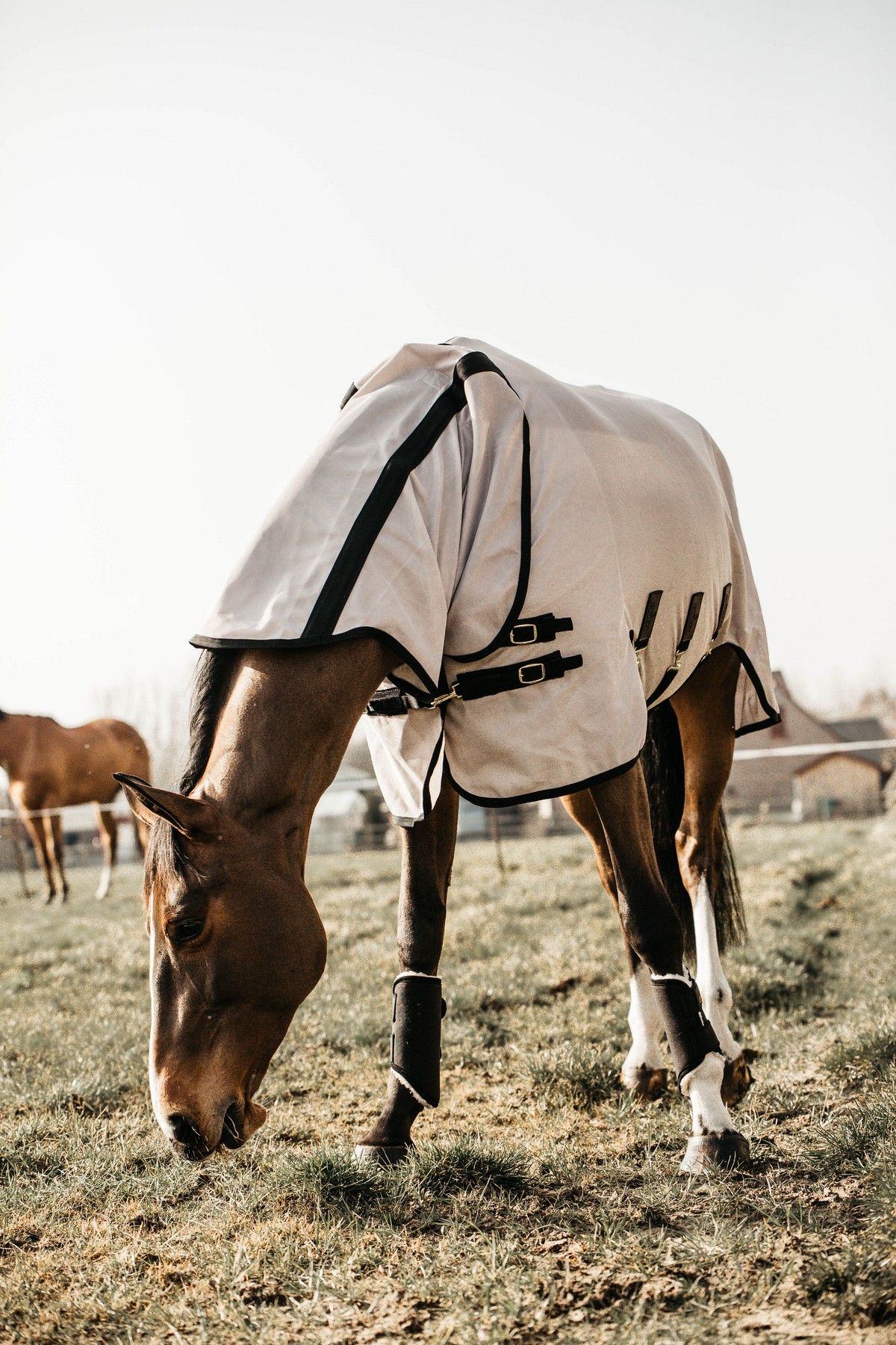 Kentucky Horsewear Mesh Fly Rug