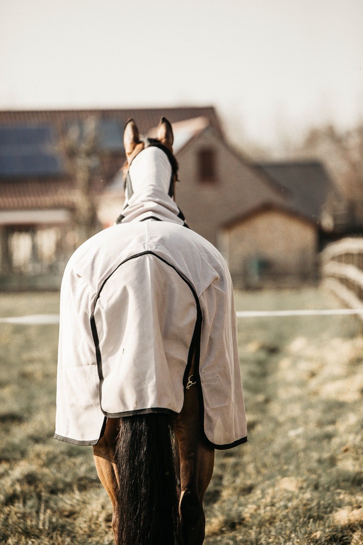 Kentucky Horsewear Mesh Fly Rug