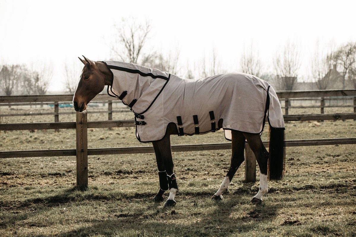 Kentucky Horsewear Mesh Fly Rug
