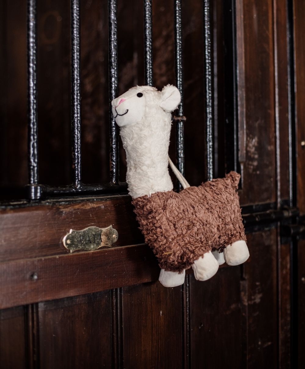 Kentucky Horsewear Relax Horse Toy Alpaca