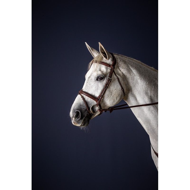 Dyon New English Collection Hoofdstel gecombineerde neusriem - equi-exclusive