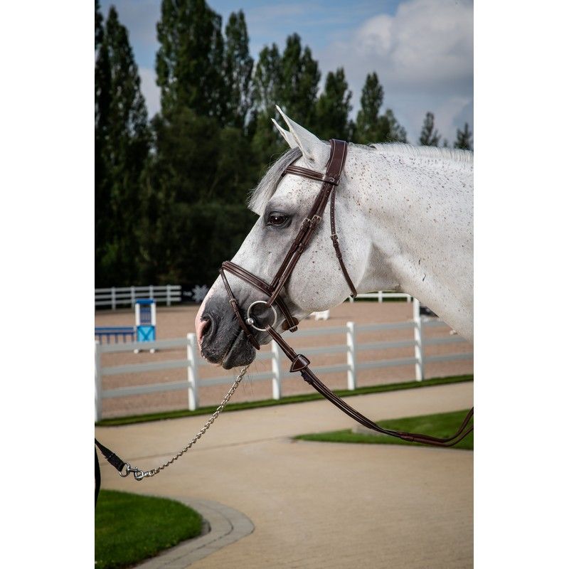 Dyon Hunter Collection Hoofdstel gecombineerde neusriem