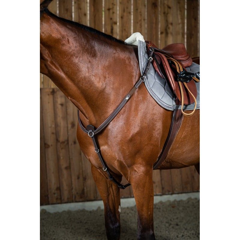 Dyon Working Collection breastplate elastic Brown
