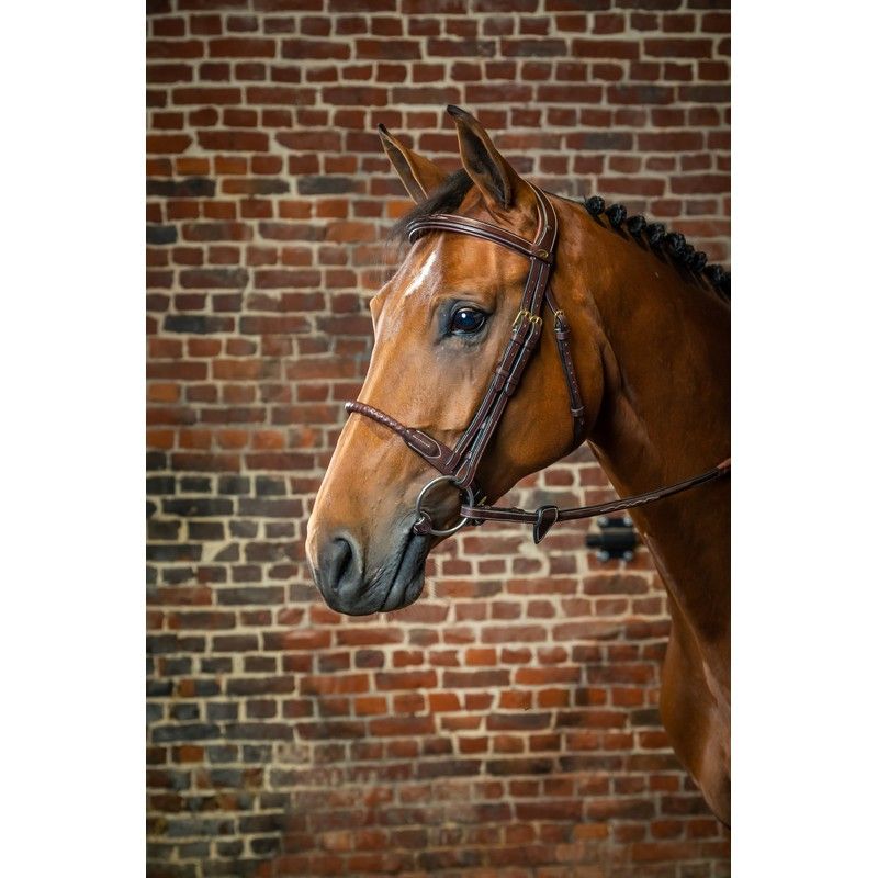Dyon D Collection Leather Covered Rope Noseband Bridle Brown