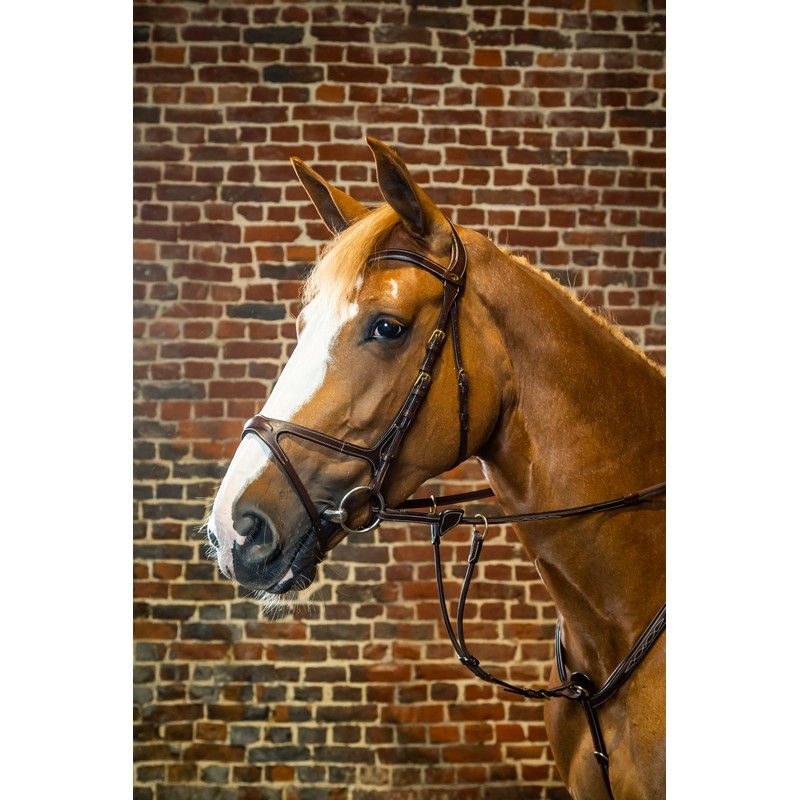 Dyon D Collection X-fit anatomic bridle Brown