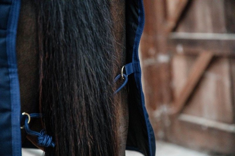 Kentucky Horsewear Stable Rug Classic 100g Navy