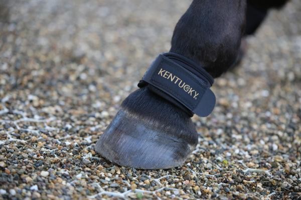 Kentucky Horsewear kootbeschermers zwart
