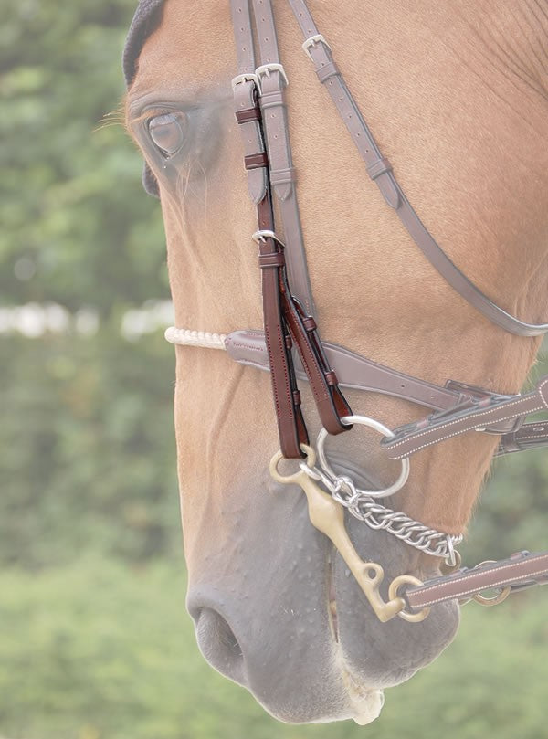 Dyon New English Collection bakstukken stang en trens - equi-exclusive