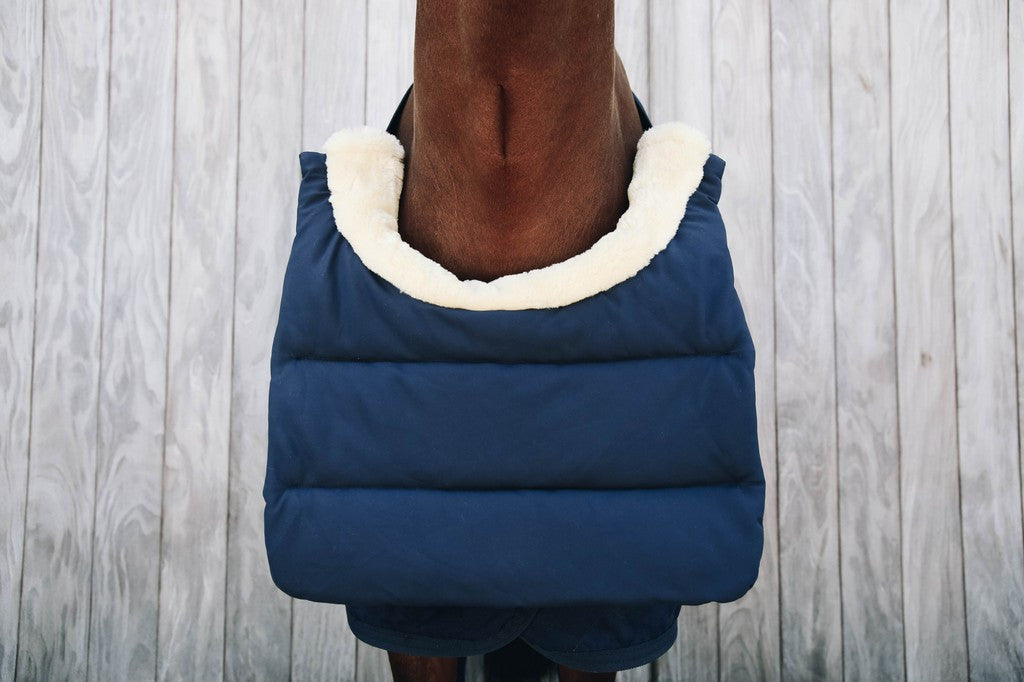 Kentucky Horsewear Horse Bib Winter - equi-exclusive