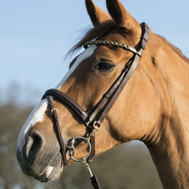 LJ Leathers Pro Selected Trainingshoofdstel clips bruin Bruin Goud kleurig