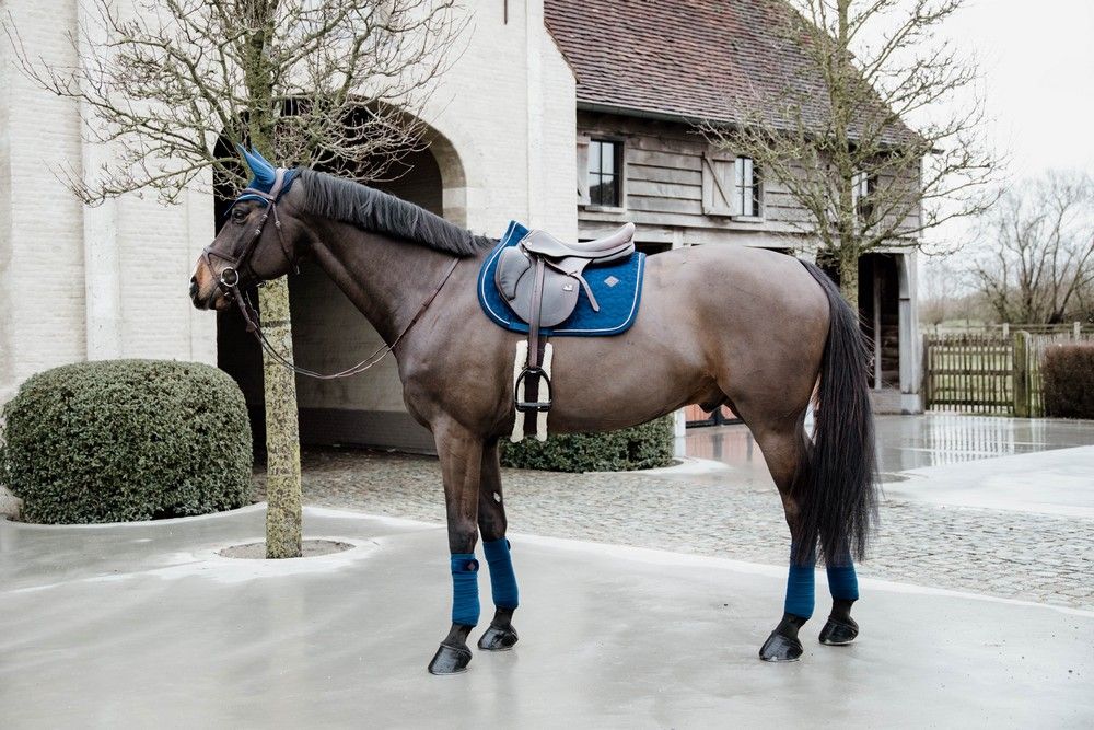 Kentucky Horsewear Saddle Pad Basic Velvet Jumping Navy