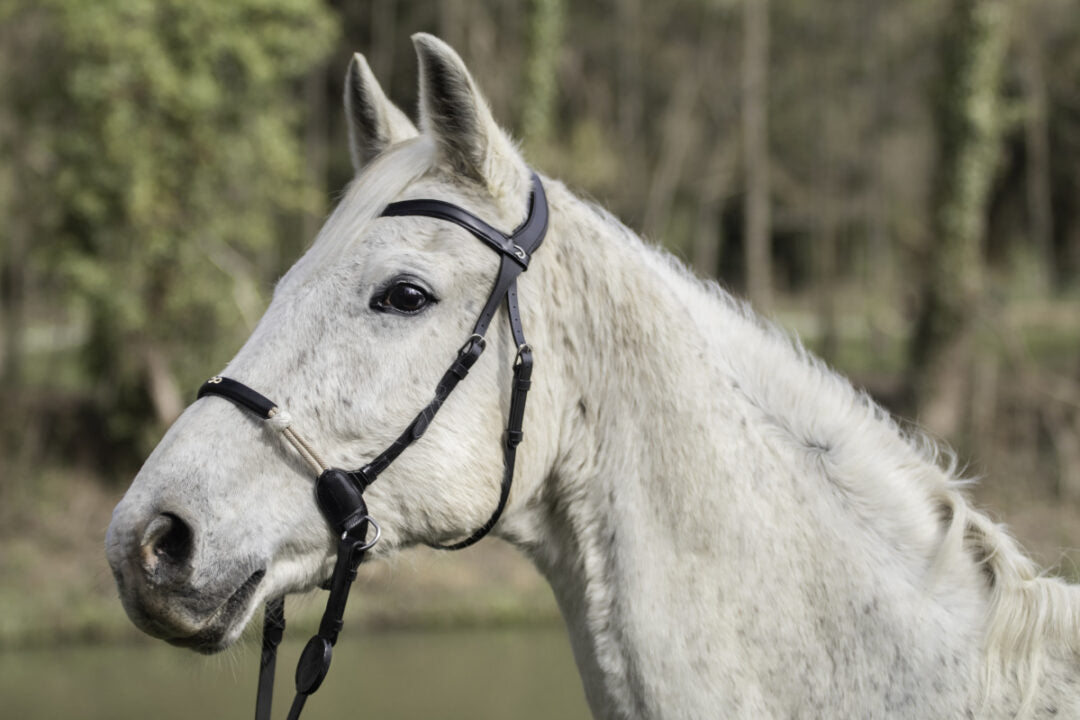 Dyon La Cense Collection Bitless Bridle Black