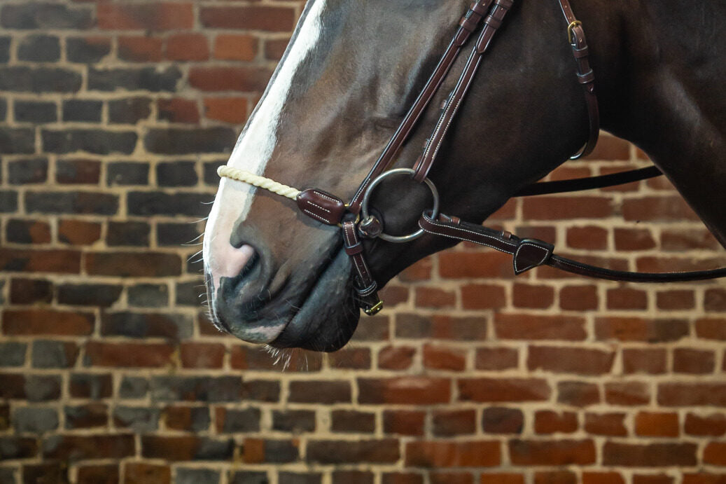 Dyon D Collection double bridle cheek pieces Brown