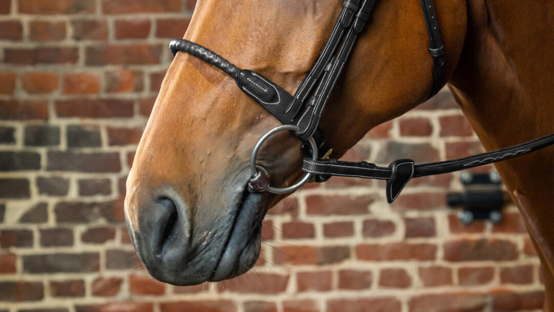 Dyon D Collection leather covered rope noseband Black