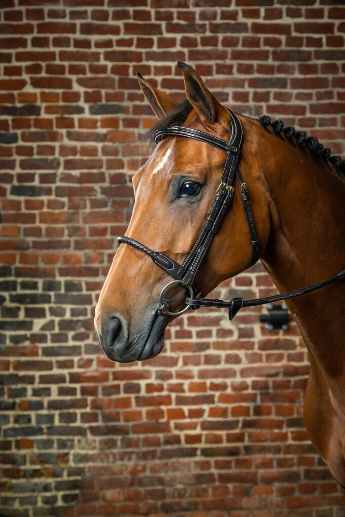 Dyon D Collection Leather Covered Rope Noseband Bridle Black