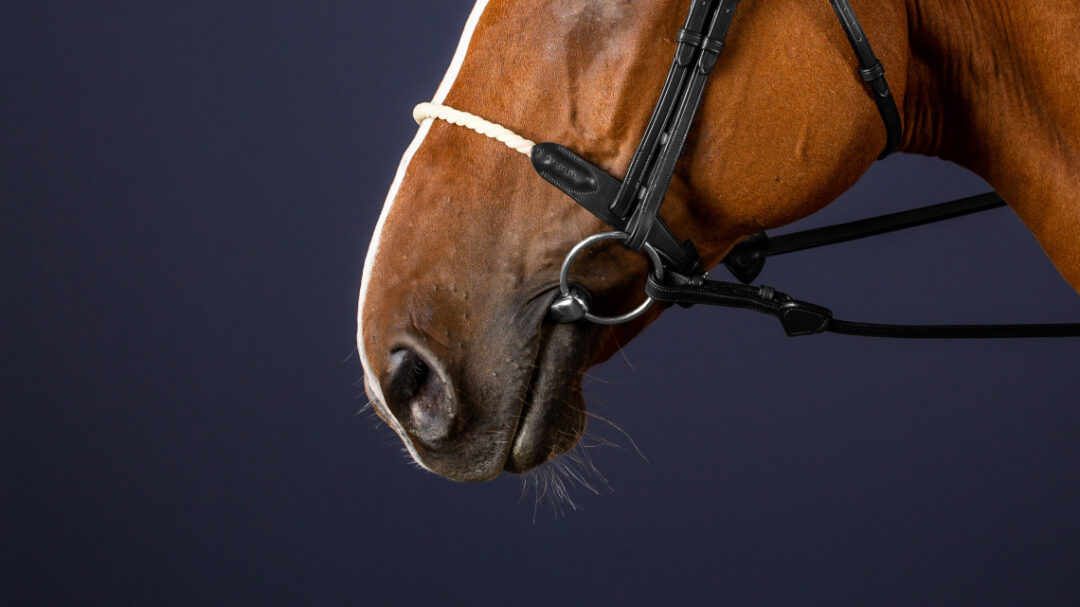 Dyon New English Collection rope noseband Black