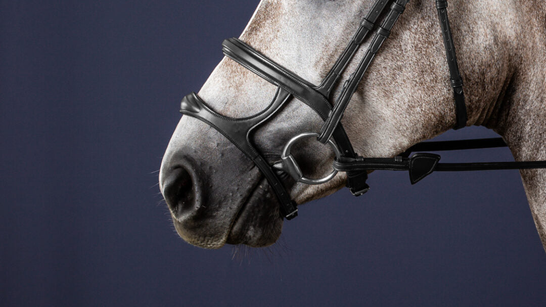 Dyon New English Collection double noseband Black